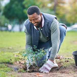 man plating a tree