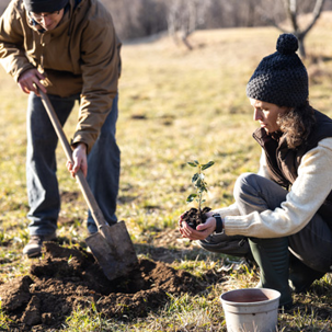 Can i plant trees in winter