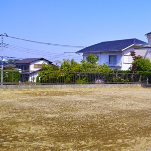 Clearing Land After Tree Removal