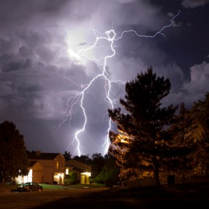 dealing-with-tree-struck-by-lightning