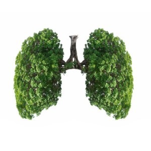 Lung Health