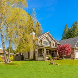 fertilize-your-trees-in-fall-1