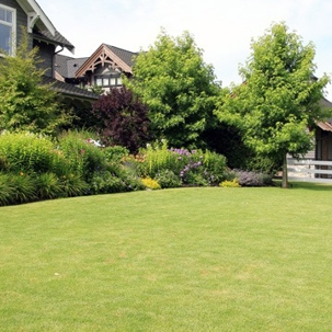 a beautiful view of greens grass