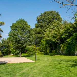 handling-large-trees