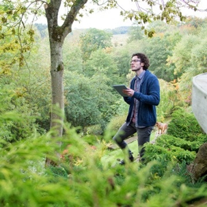 Arborist looking at a tree