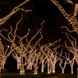 Outdoor Christmas-lights