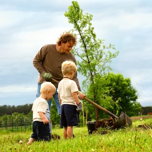 father-and-sons planting a tree