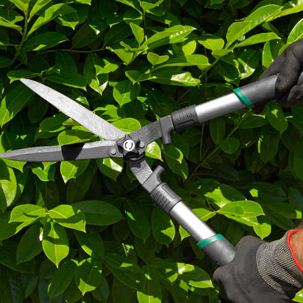 Pruning and maintenance