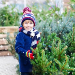 Boy standing beside some plants on a snowy day