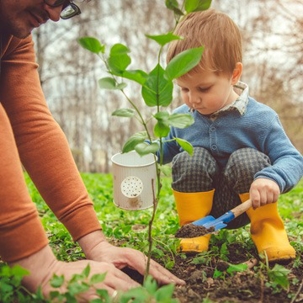 things-to-do-for-trees-this-spri