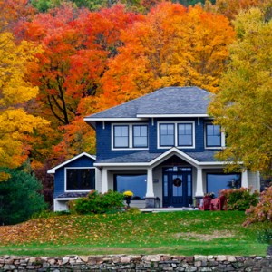 tips-for-fall-tree-care