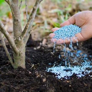 organic fertilizer