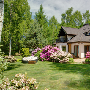 Tree pruning to prevent fire