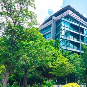 trees covering a building