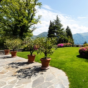 a beautiful view of greens