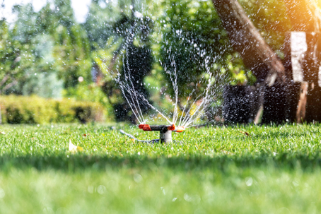 smart irrigation