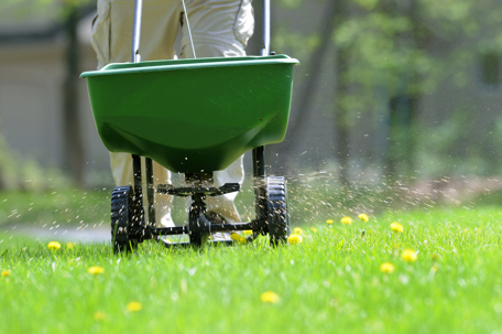 fertilizing lawn