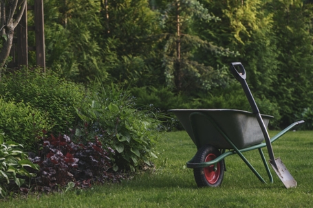 Wheelbarrow in summer day in beautiful natural country garden.