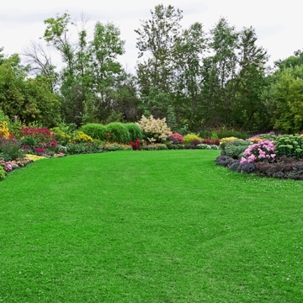 better than trugreen