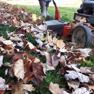 Fall mowing