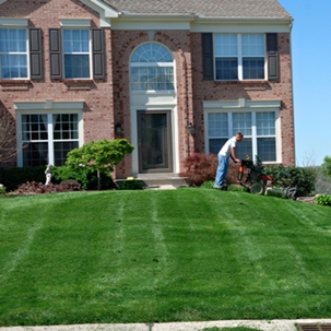 Man mowing the lawn