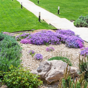 functional sloped yard