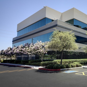 commercial landscape design