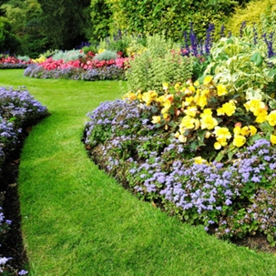 tips for spring planting