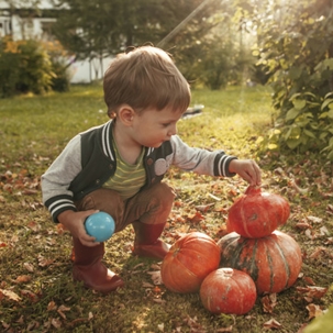 fall lawn maintenance