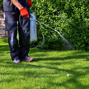Weed killer in winter