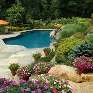Poolside Landscape