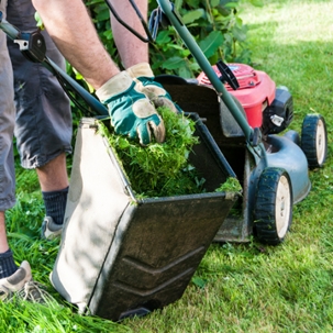 A man and a lawn mower