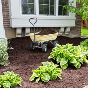 Mulch this spring
