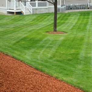 Topdressing to Help Lawn