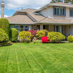 Tips for watering lawn