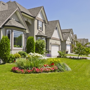 maintain landscape through summer