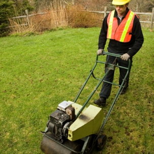 Aerate Lawn