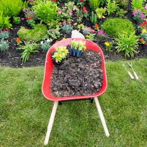 prepare landscape for spring