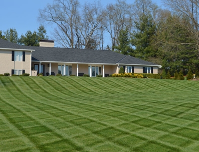 A house and a lawn
