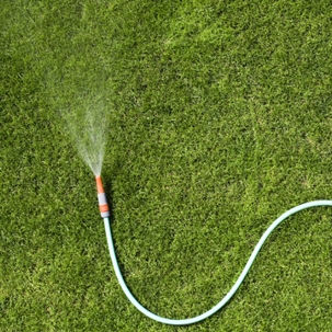 lawn maintenance mistakes