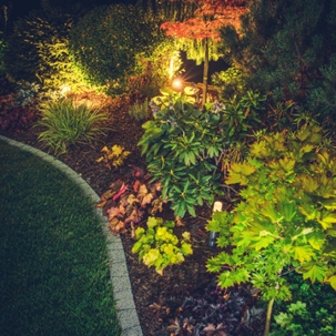 landscape lighting