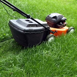 Lawn Mower