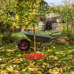 Fall lawn tips