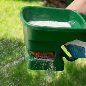 Fertilizing Lawn