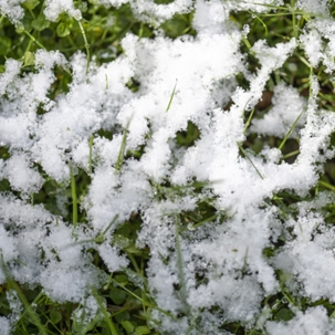 landscape after winter