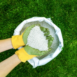 winter lawn tips