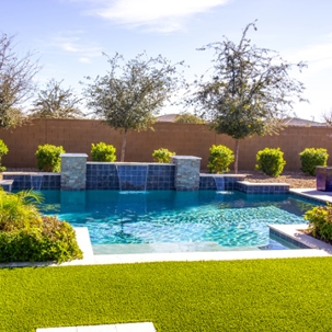 Pool with green plants
