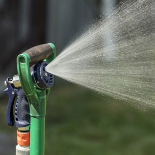 Should I water lawn in winter