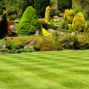 lawn service company