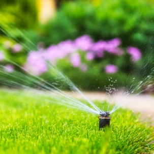 Sprinkler ready for spring